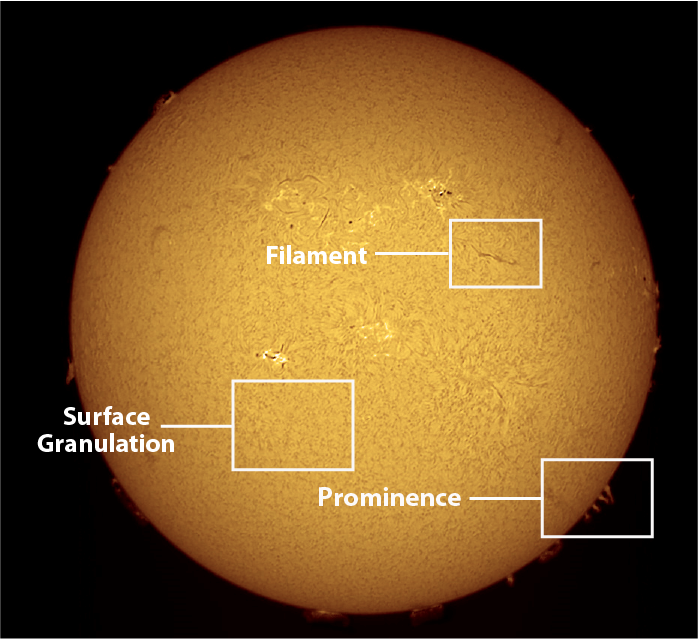Solar Disk Detail Image