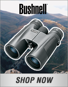 Bushnell (displays binocular)