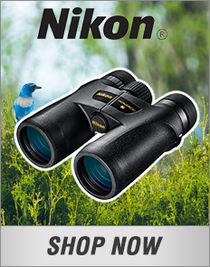 Nikon (displays binocular)